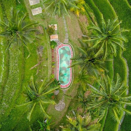 Pesona Bali Ecolodge By Agata Jatiluwih Eksteriør billede
