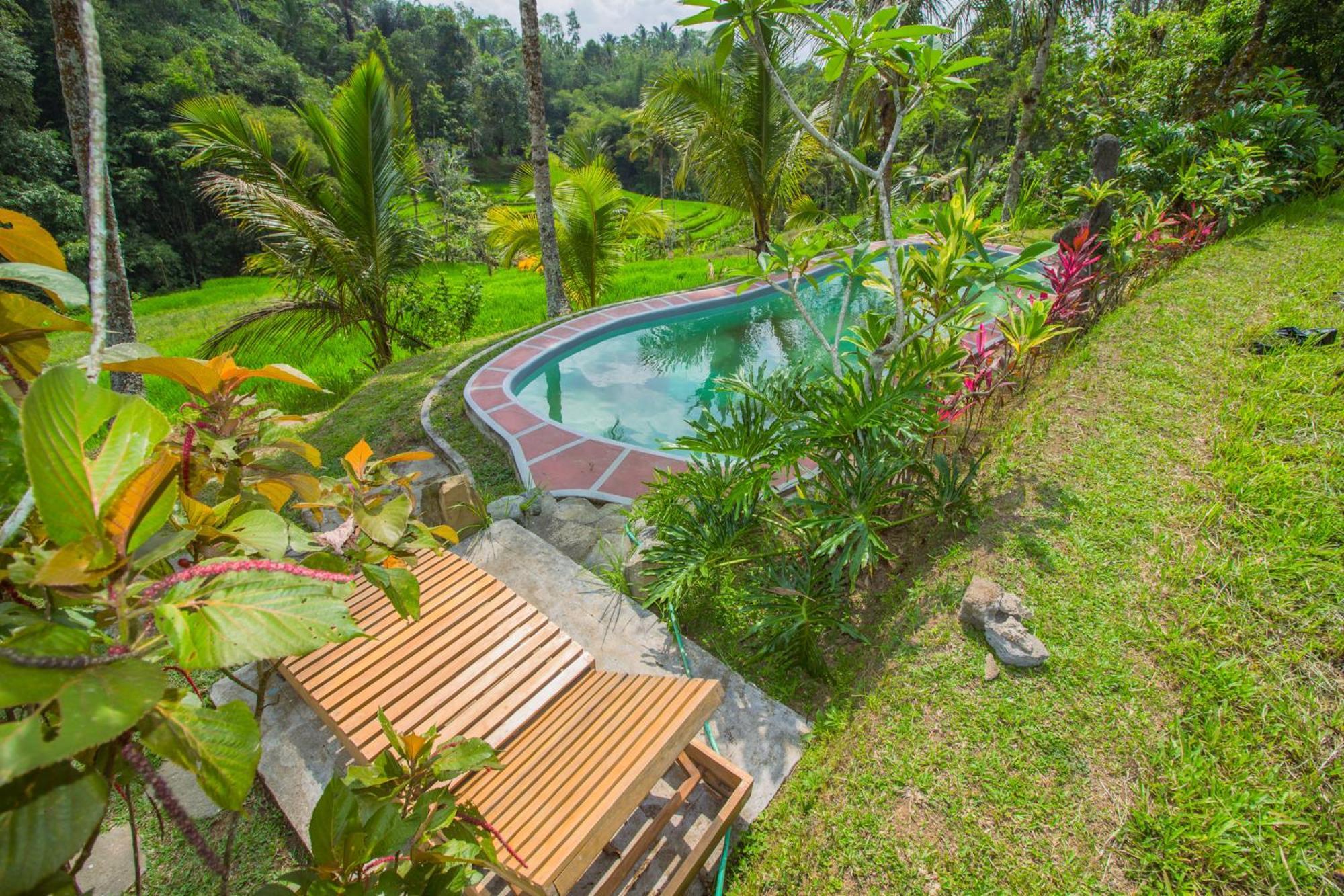 Pesona Bali Ecolodge By Agata Jatiluwih Eksteriør billede