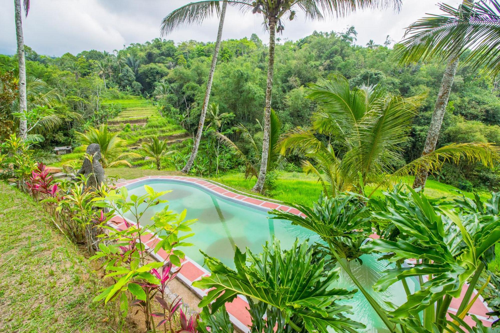 Pesona Bali Ecolodge By Agata Jatiluwih Eksteriør billede
