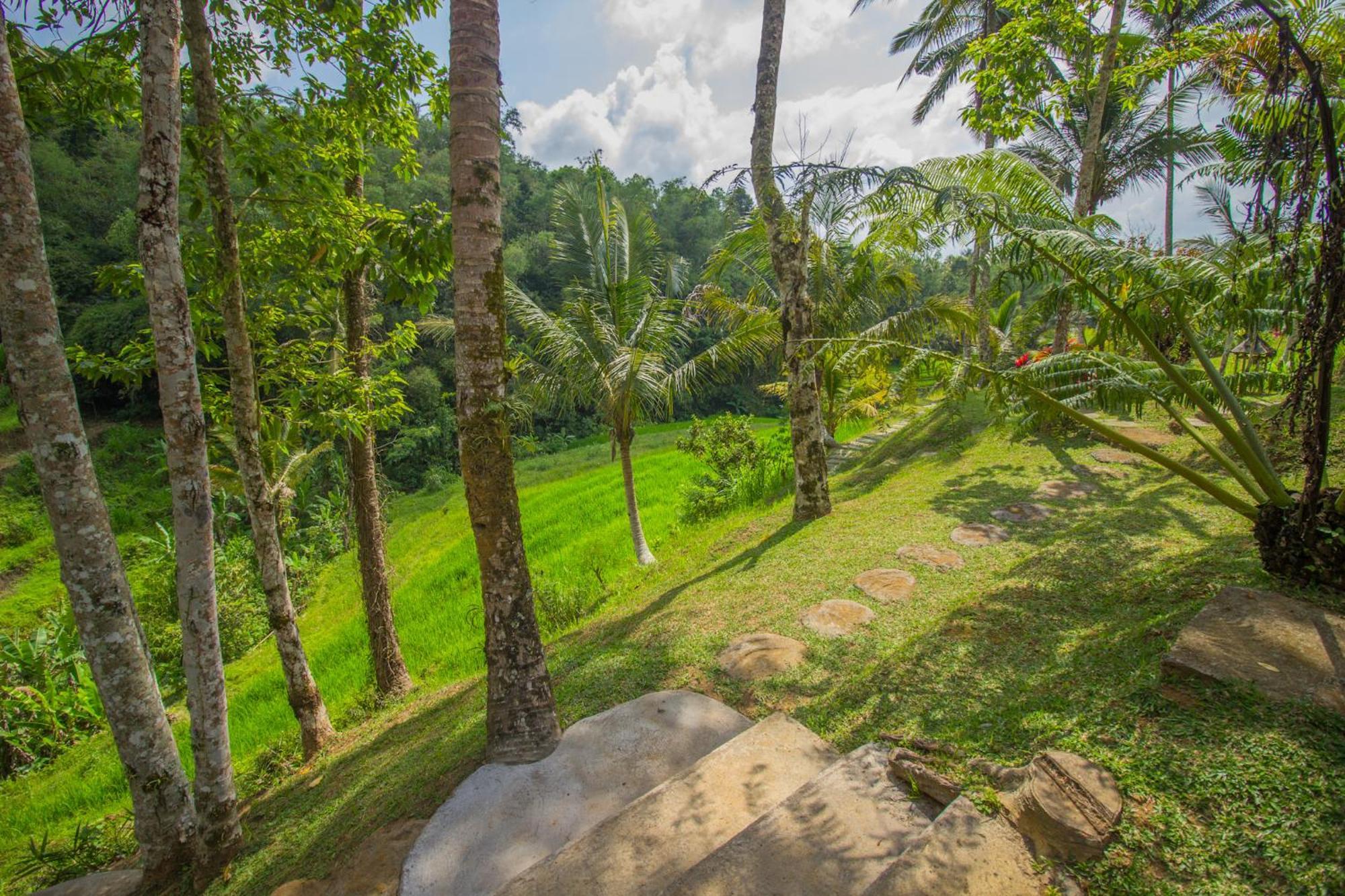 Pesona Bali Ecolodge By Agata Jatiluwih Eksteriør billede