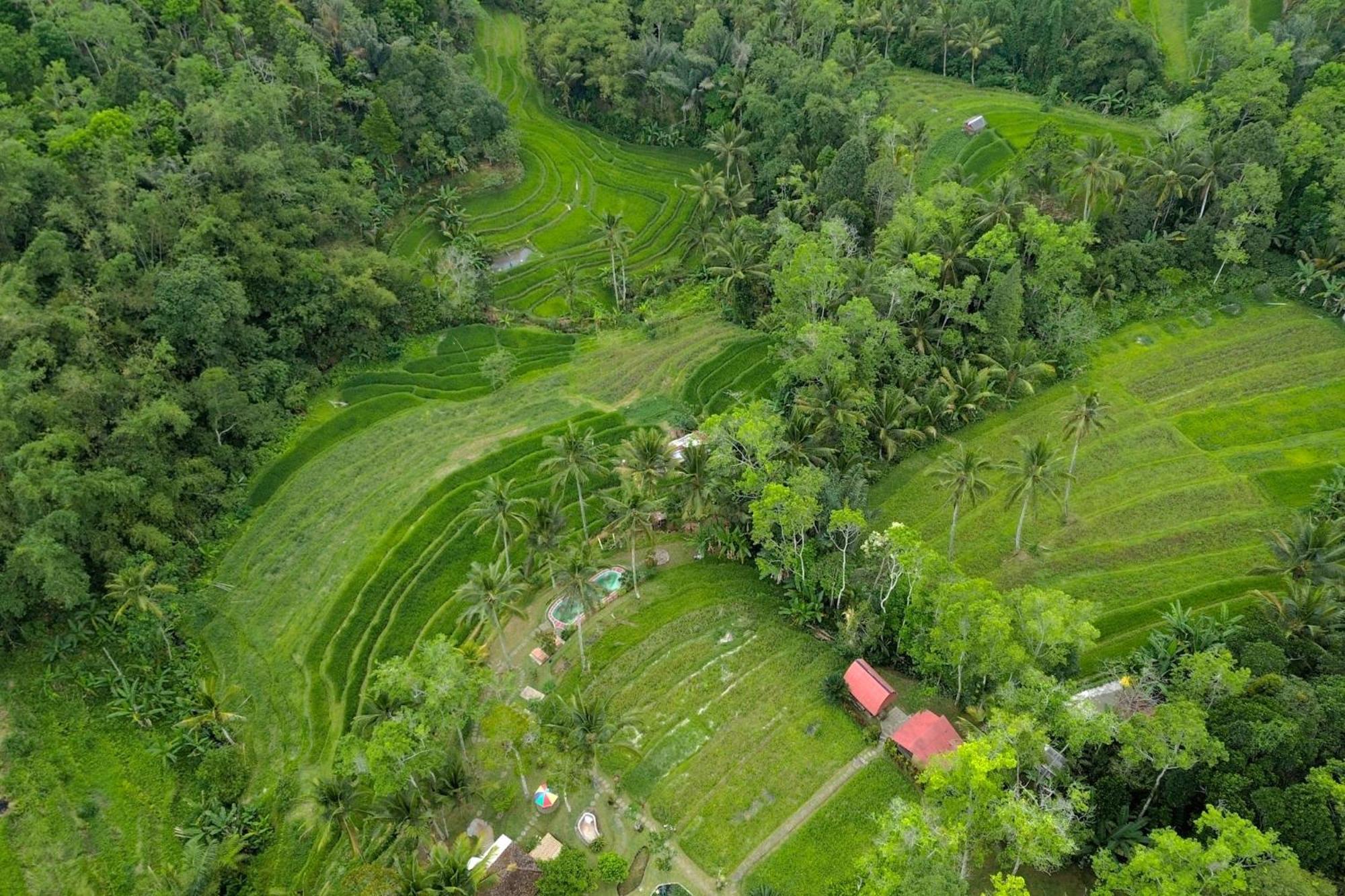 Pesona Bali Ecolodge By Agata Jatiluwih Eksteriør billede