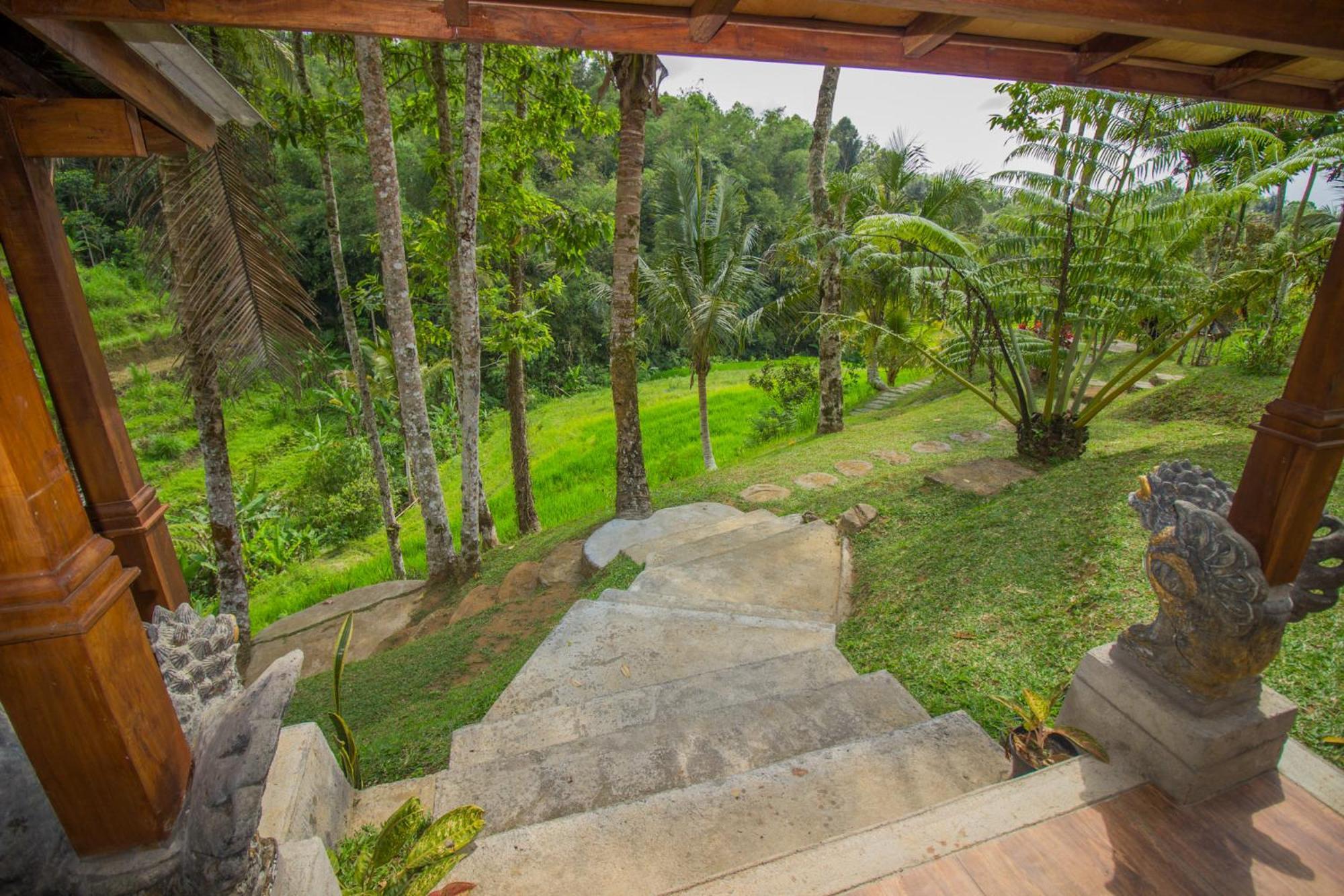 Pesona Bali Ecolodge By Agata Jatiluwih Eksteriør billede