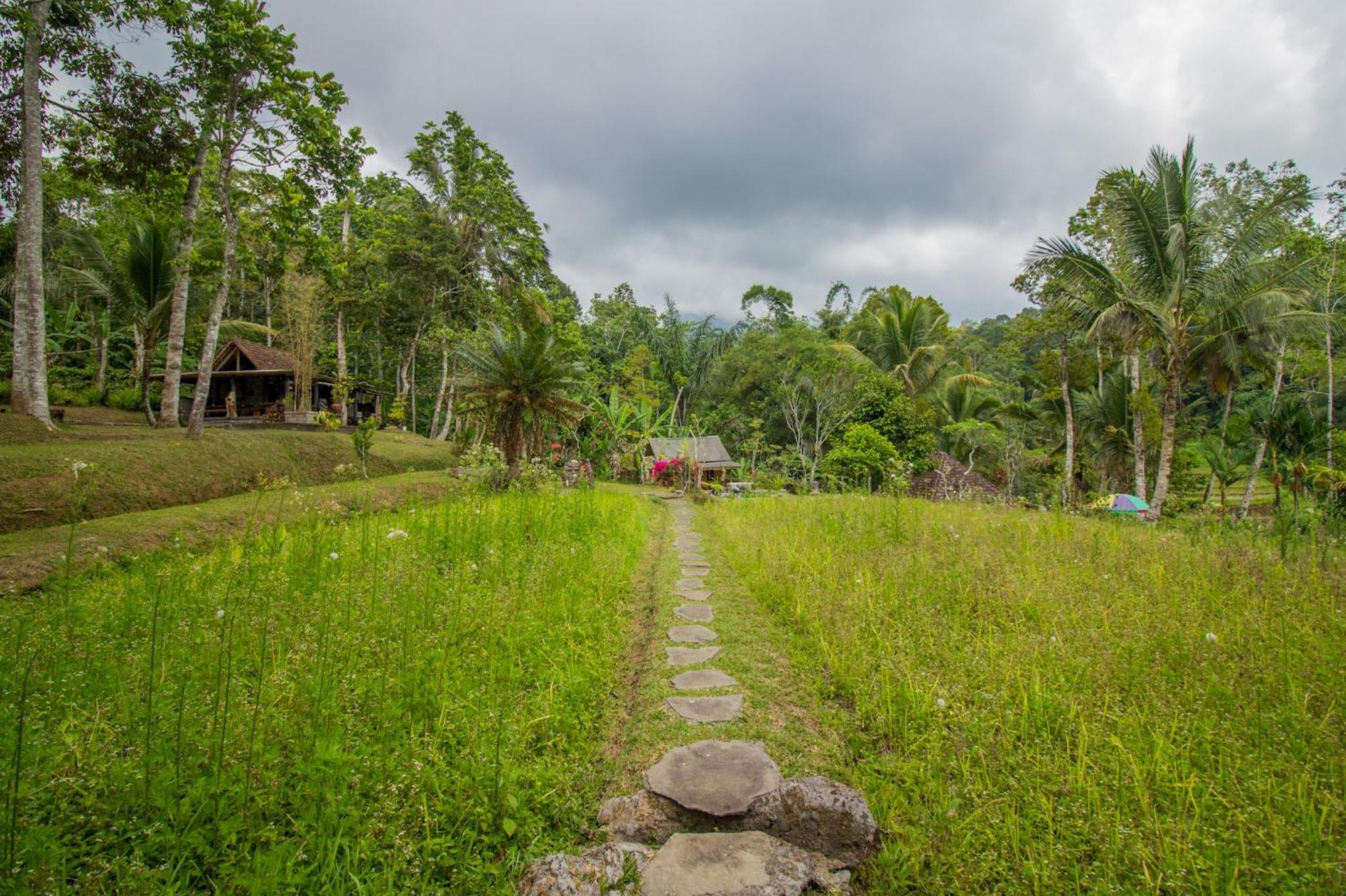 Pesona Bali Ecolodge By Agata Jatiluwih Eksteriør billede